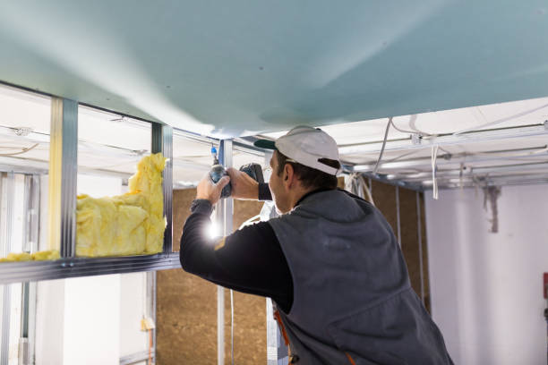 Weatherproofing Services in Metamora, IL